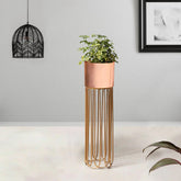 Artisan Arboretum Gold Stand & Ross Gold Pot - Medium Size Planter